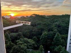 Blk 117 Sunset Way Residence (Clementi), HDB 4 Rooms #563761951